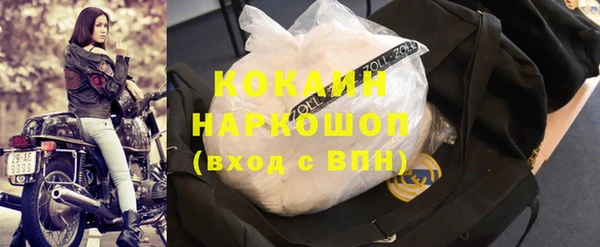 прущие грибы Зеленодольск