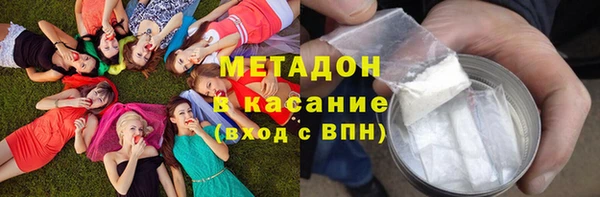 прущие грибы Зеленодольск