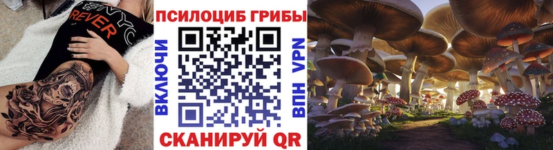 Псилоцибиновые грибы MAGIC MUSHROOMS  Клинцы 